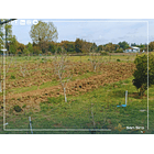 Venta Terreno con Casa Parral 5.000m2 8