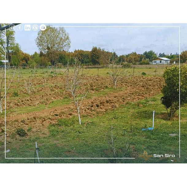 Venta Terreno con Casa Parral 5.000m2 8