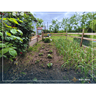 Se Vende Parcela 4.300m2 Con 3 Casas 19