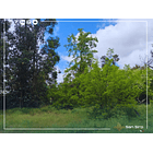 Se Vende Parcela 4.300m2 Con 3 Casas 23