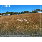 Venta Terreno 1.300 m2 Sector Tomen, Región de Los Ríos 1