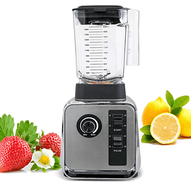 Licuadora Industrial 2lts