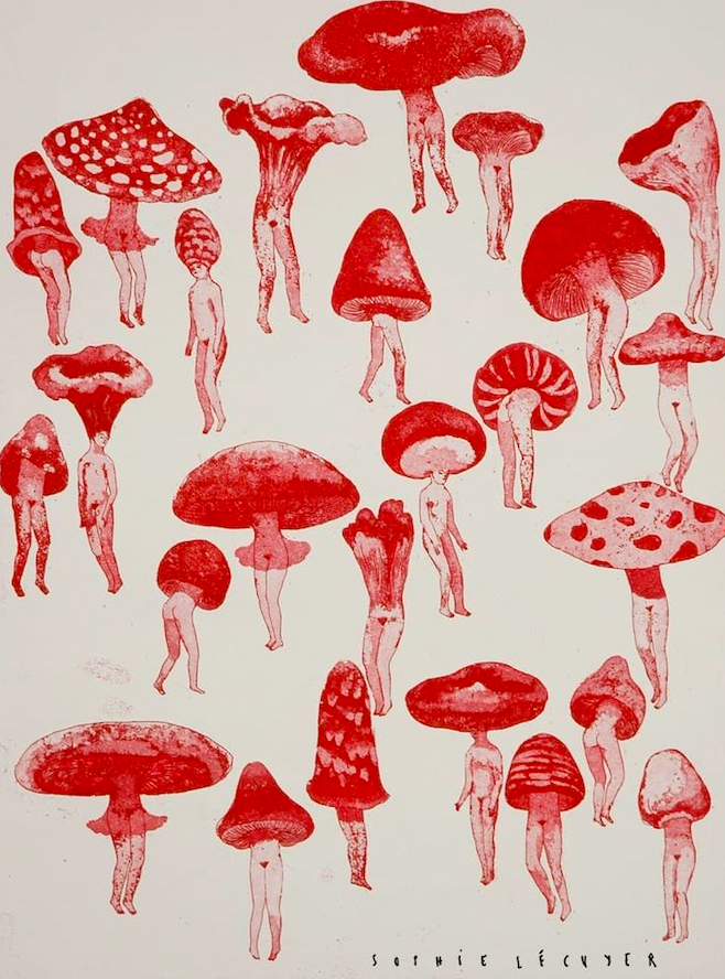 La Revolución Fúngica: Cómo los Hongos Invaden Chile.