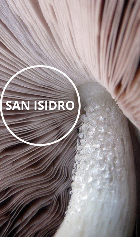 MAS DE UNA DECADA CULTIVANDO CALIDAD 