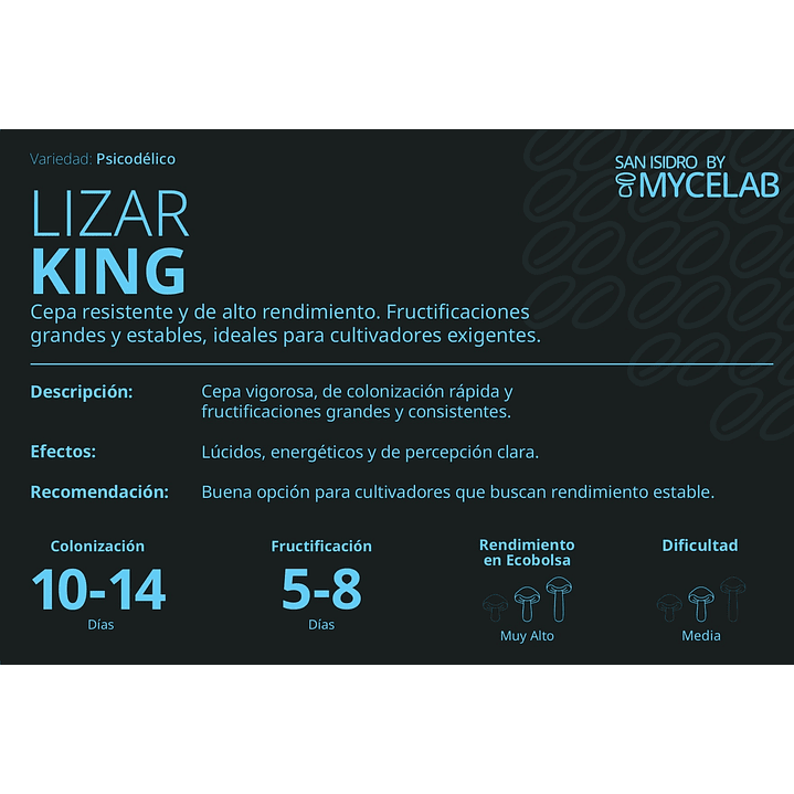  KIT MYCEBAG 500 G.  2