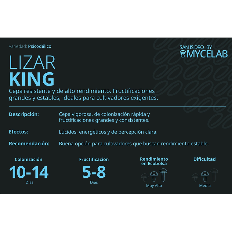  KIT MYCEBAG 500 G.  2