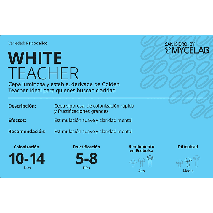  KIT MYCEBAG 500 G.  4