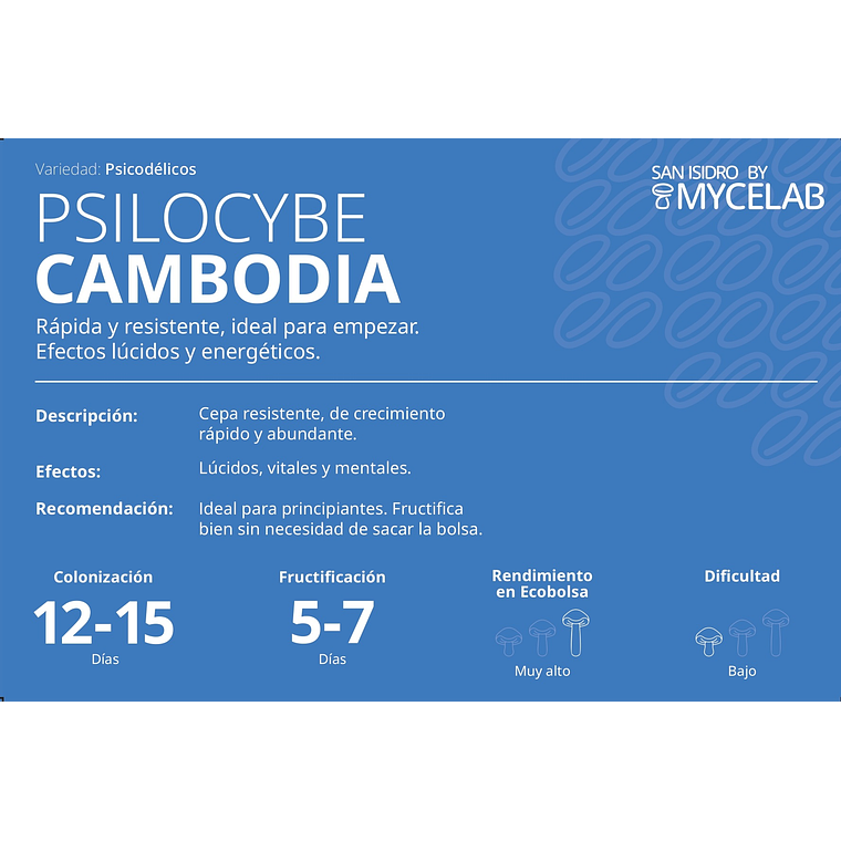  KIT MYCEBAG 500 G.  5