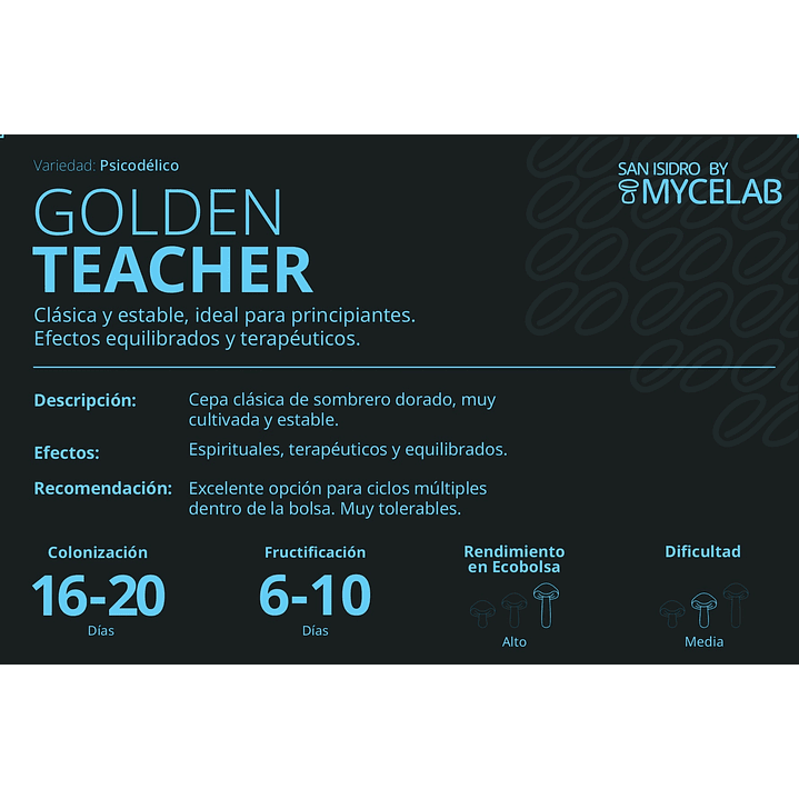  KIT MYCEBAG 500 G.  6