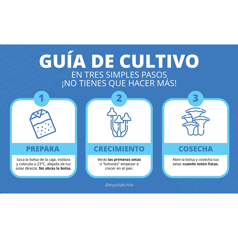  KIT MYCEBAG 500 G.  10