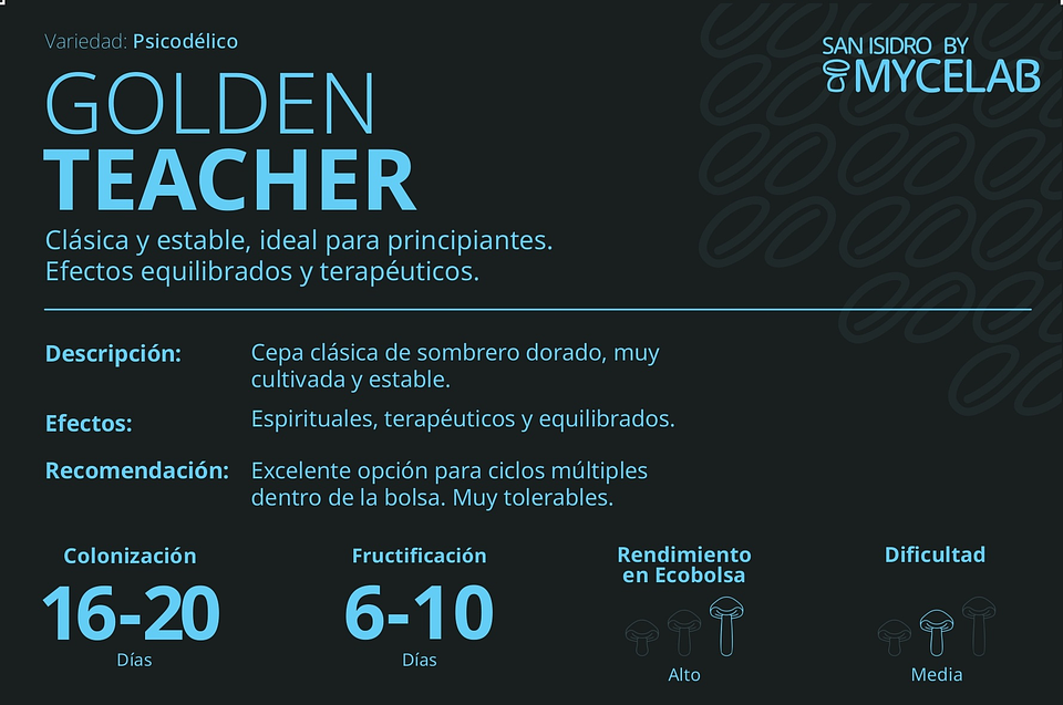 KIT MYCEBAG   3  LITROS ( 2 kilos ) 5