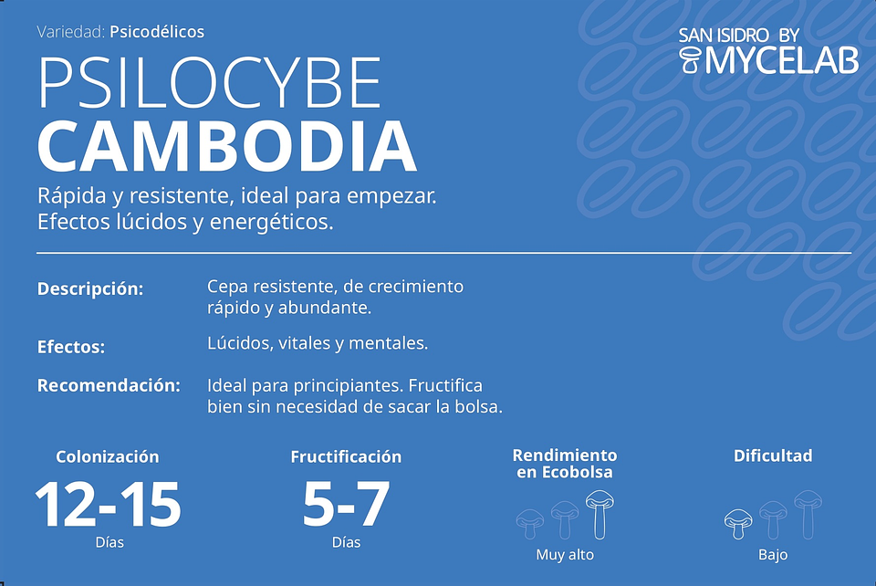 KIT MYCEBAG   3  LITROS ( 2 kilos ) 6