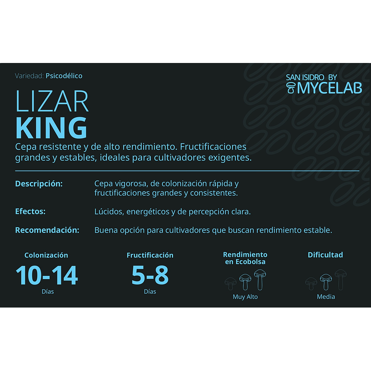 KIT MYCEBAG   3  LITROS ( 2 kilos ) 7