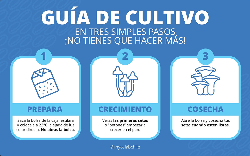 KIT MYCEBAG   3  LITROS ( 2 kilos ) 10