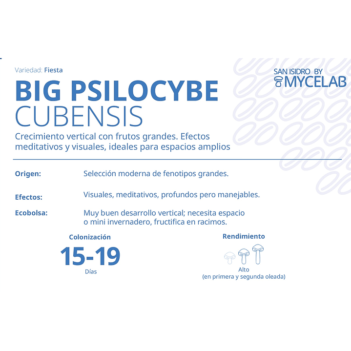  KIT MYCEBAG 500 G.  11