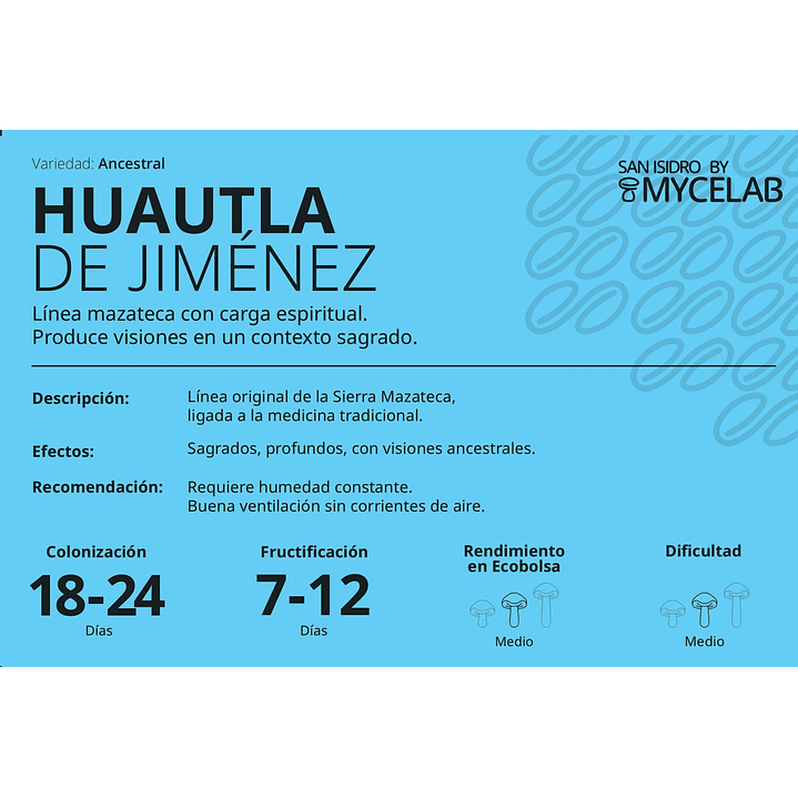 KIT MYCEBAG 1 KILO . 3