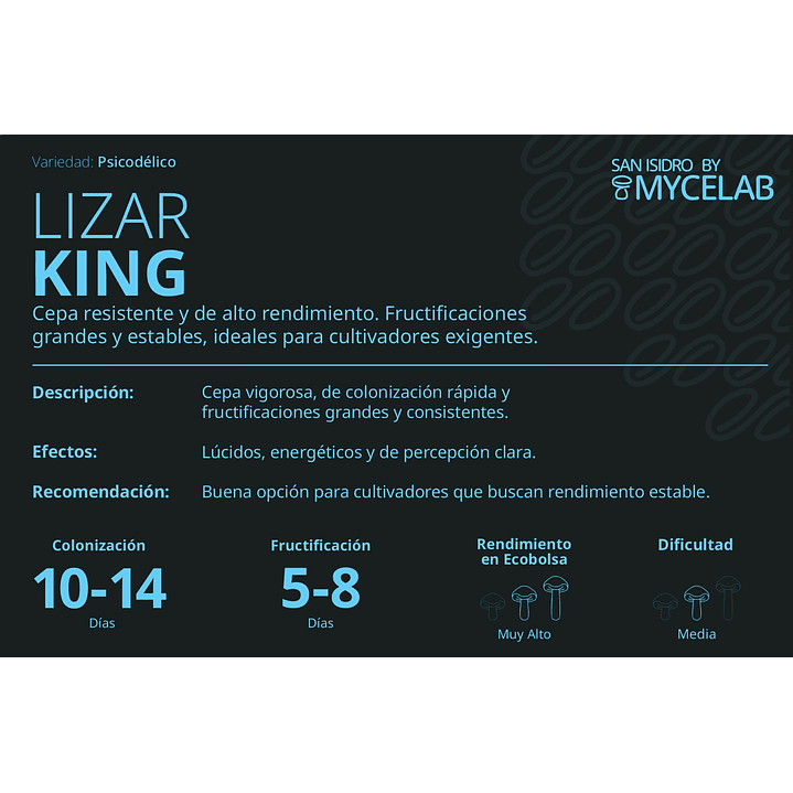 KIT MYCEBAG 1 KILO . 7