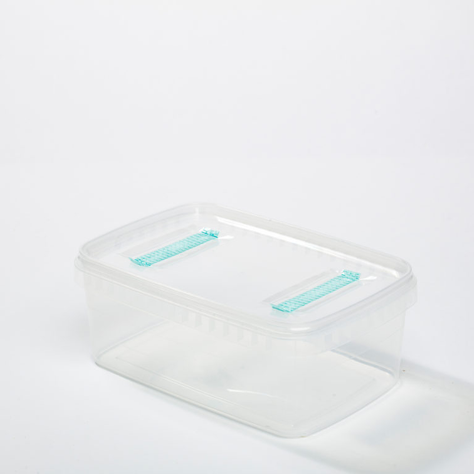 Sistema Modular de Cultivo Controlado – GROW SHOP 2