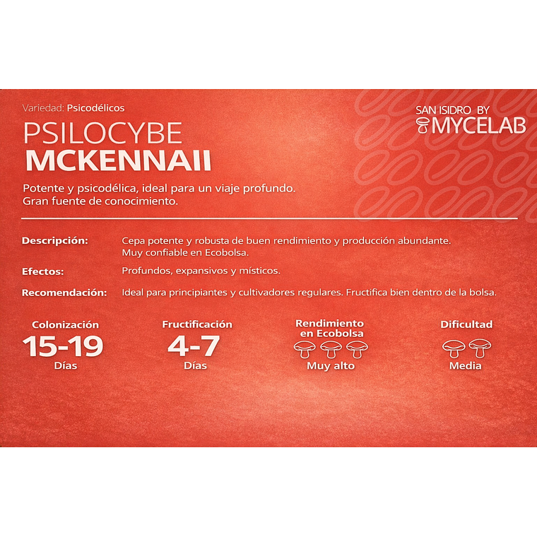 KIT MYCEBAG 1 KILO . 10