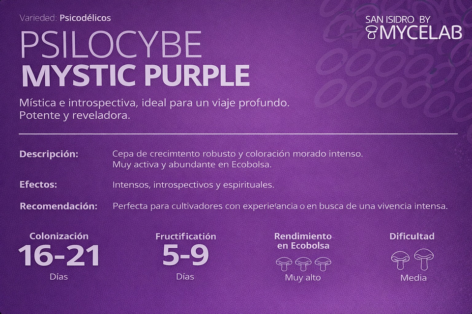 KIT MYCEBAG   3  LITROS ( 2 kilos ) 12