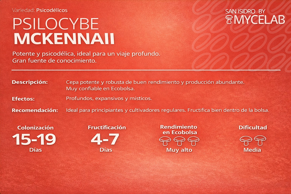 KIT MYCEBAG   3  LITROS ( 2 kilos ) 13