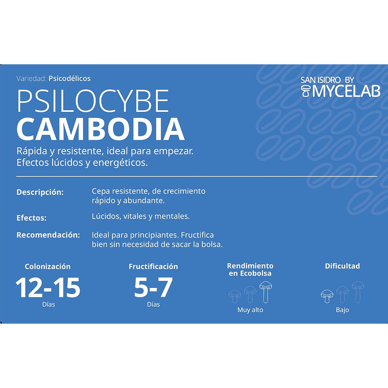  KIT MYCEBAG 500 G.  3