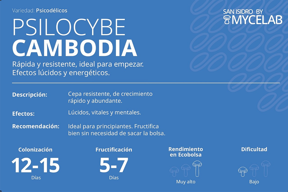  KIT MYCEBAG 500 G.  3