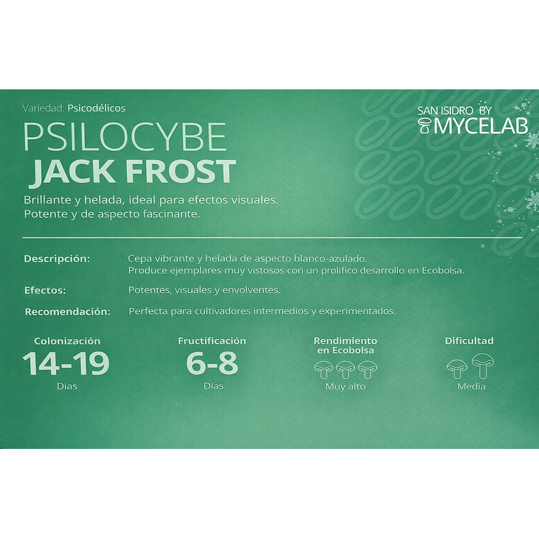  KIT MYCEBAG 500 G.  6