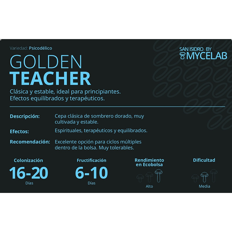  KIT MYCEBAG 500 G.  8