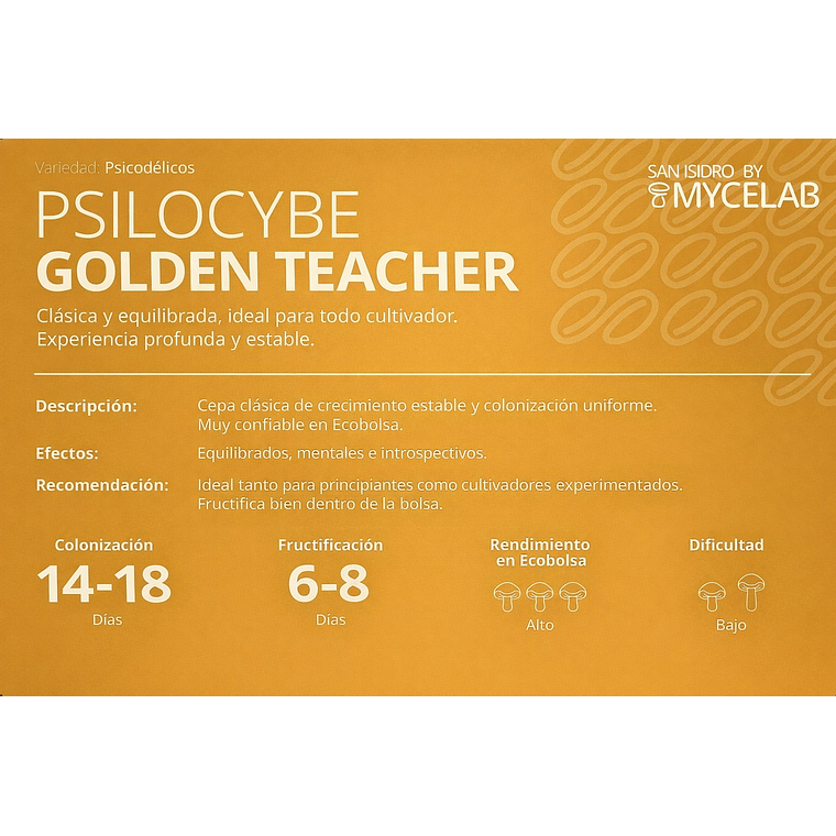 KIT MYCEBAG 1 KILO . 13