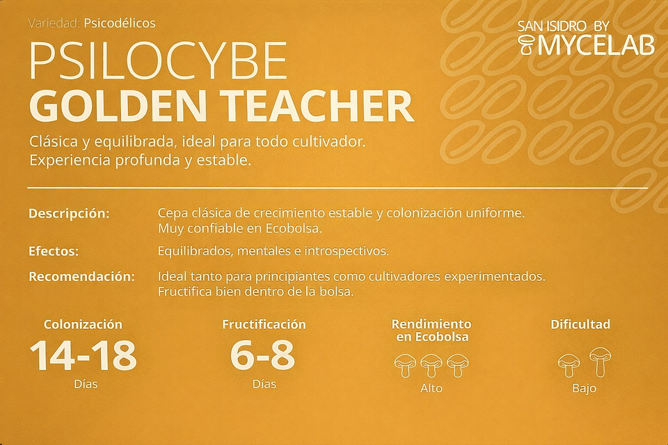 KIT MYCEBAG 1 KILO . 13