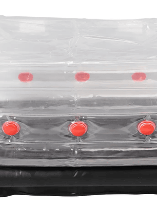 Caja Fructificadora Inflable San Isidro