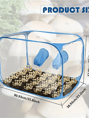 Cámara Fructificadora Plegable San Isidro