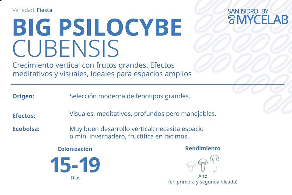 Sistema Modular de Cultivo Controlado – San Isidro 3