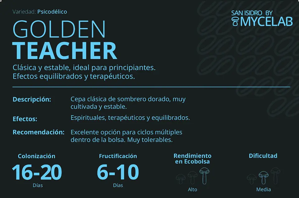 Sistema Modular de Cultivo Controlado – San Isidro 4