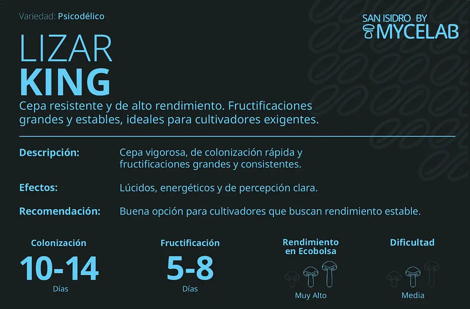 Sistema Modular de Cultivo Controlado – San Isidro 5