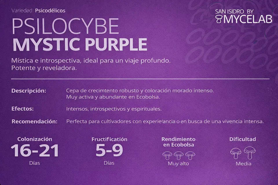 Sistema Modular de Cultivo Controlado – San Isidro 6