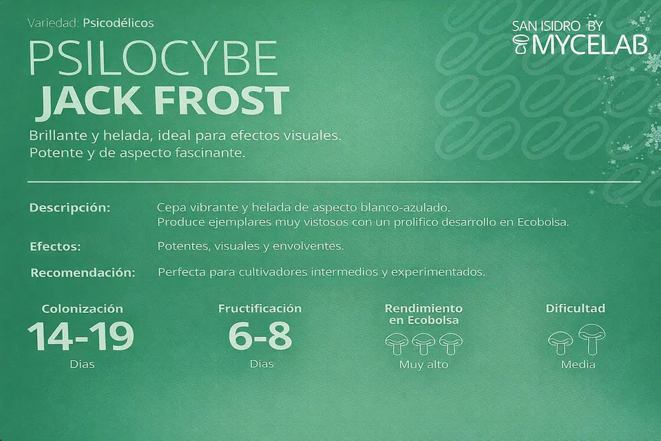 Sistema Modular de Cultivo Controlado – San Isidro 7