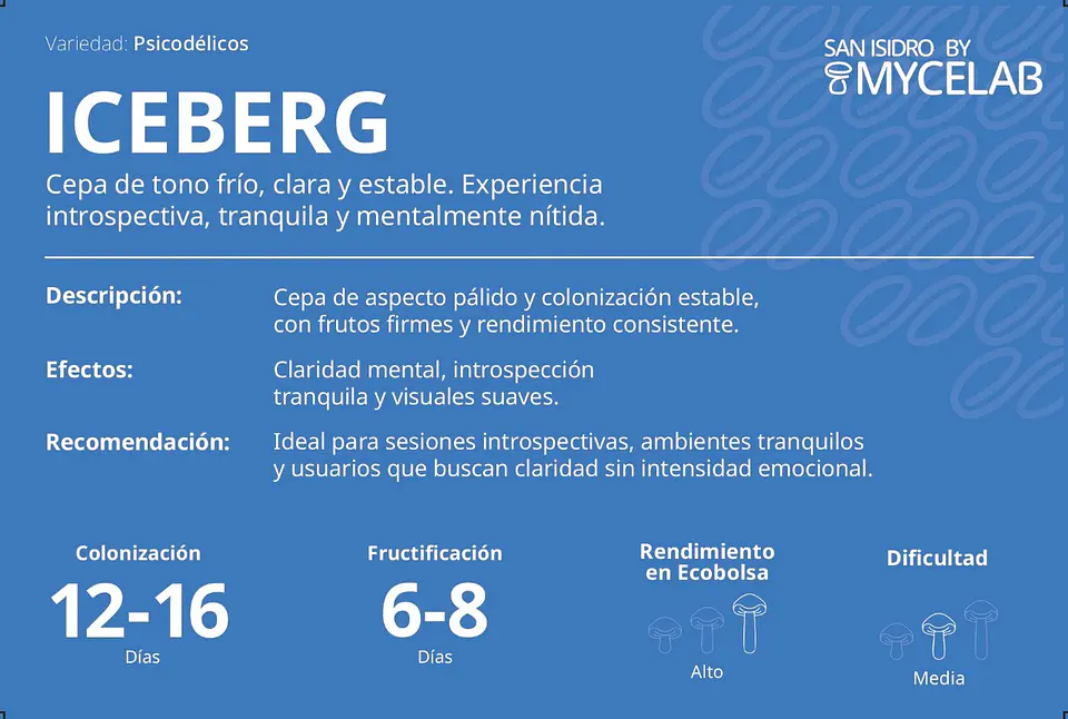 Sistema Modular de Cultivo Controlado – San Isidro 9