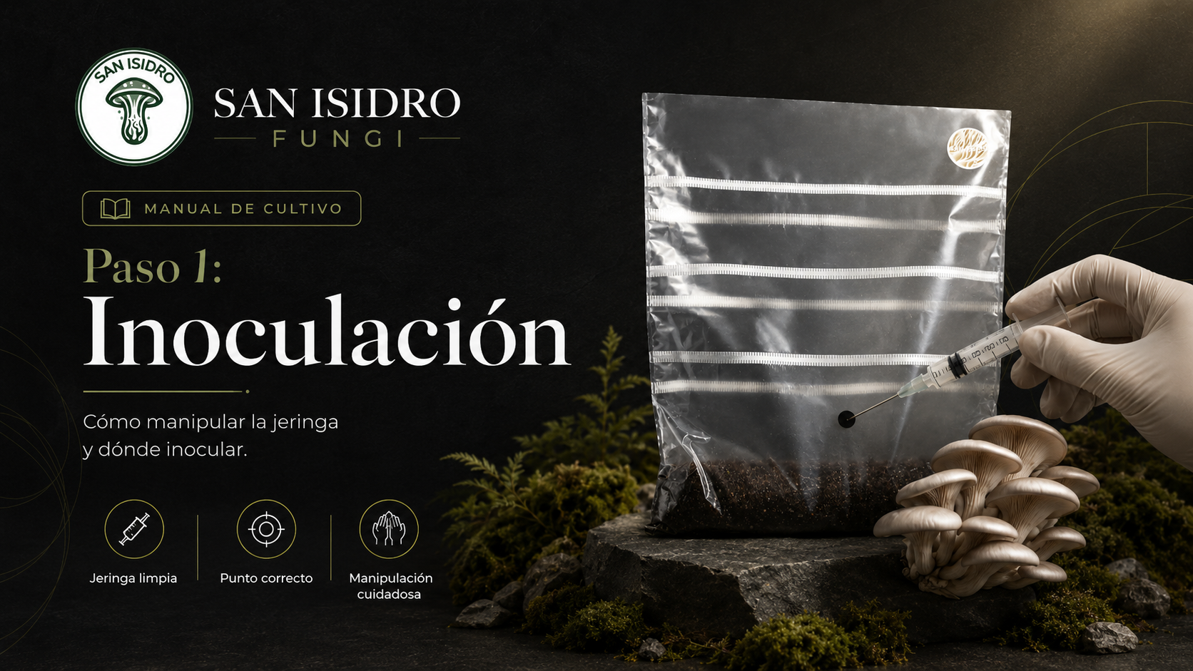 Inoculación exclusiva para Mycebox