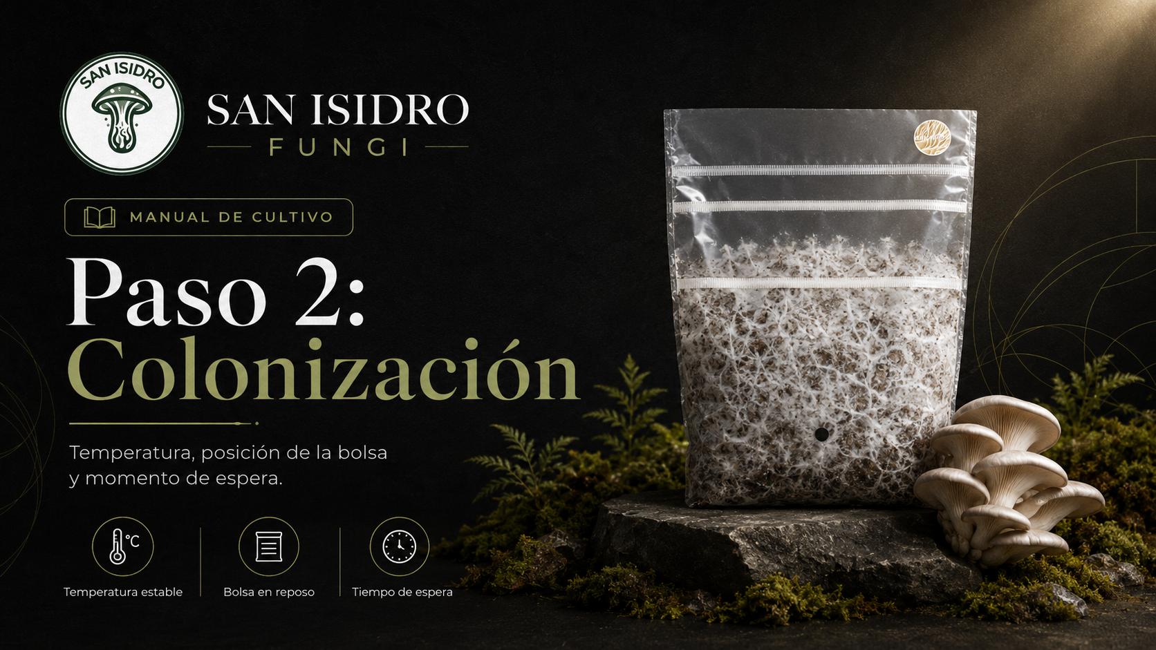 Así trabajamos contigo en San Isidro Fungi