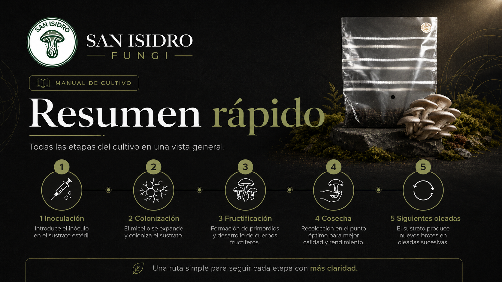 Resumen rápido del manual San Isidro Fungi