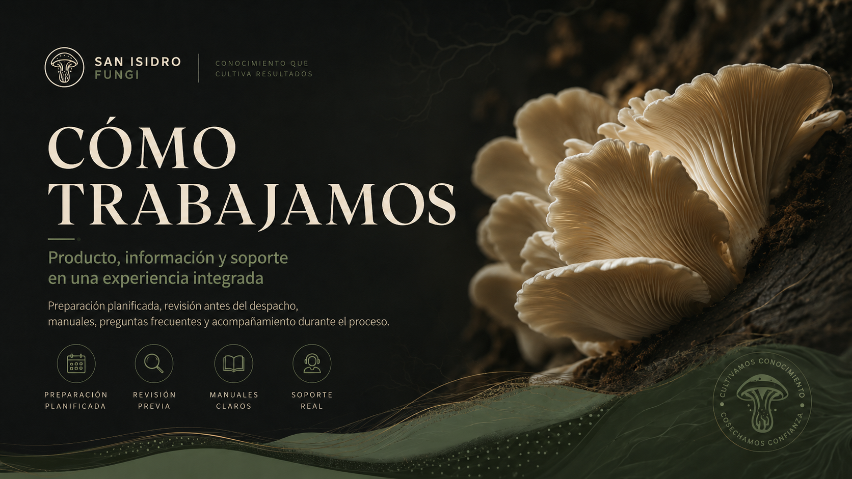 Cómo trabajamos en San Isidro Fungi