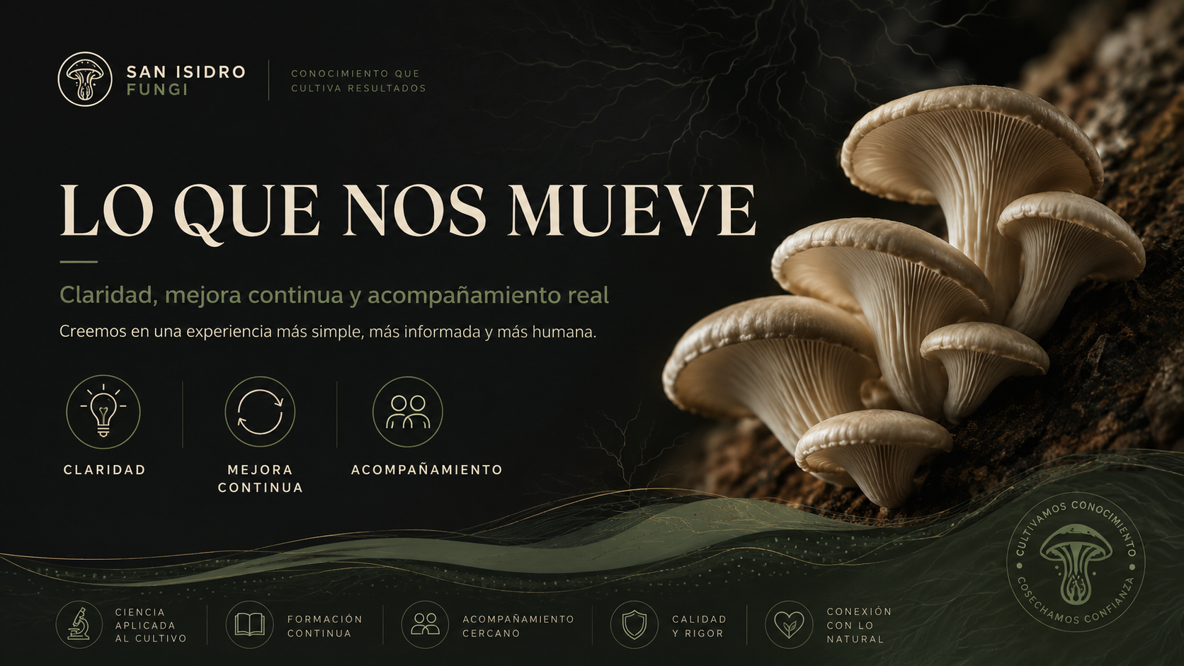 Lo que nos mueve San Isidro Fungi