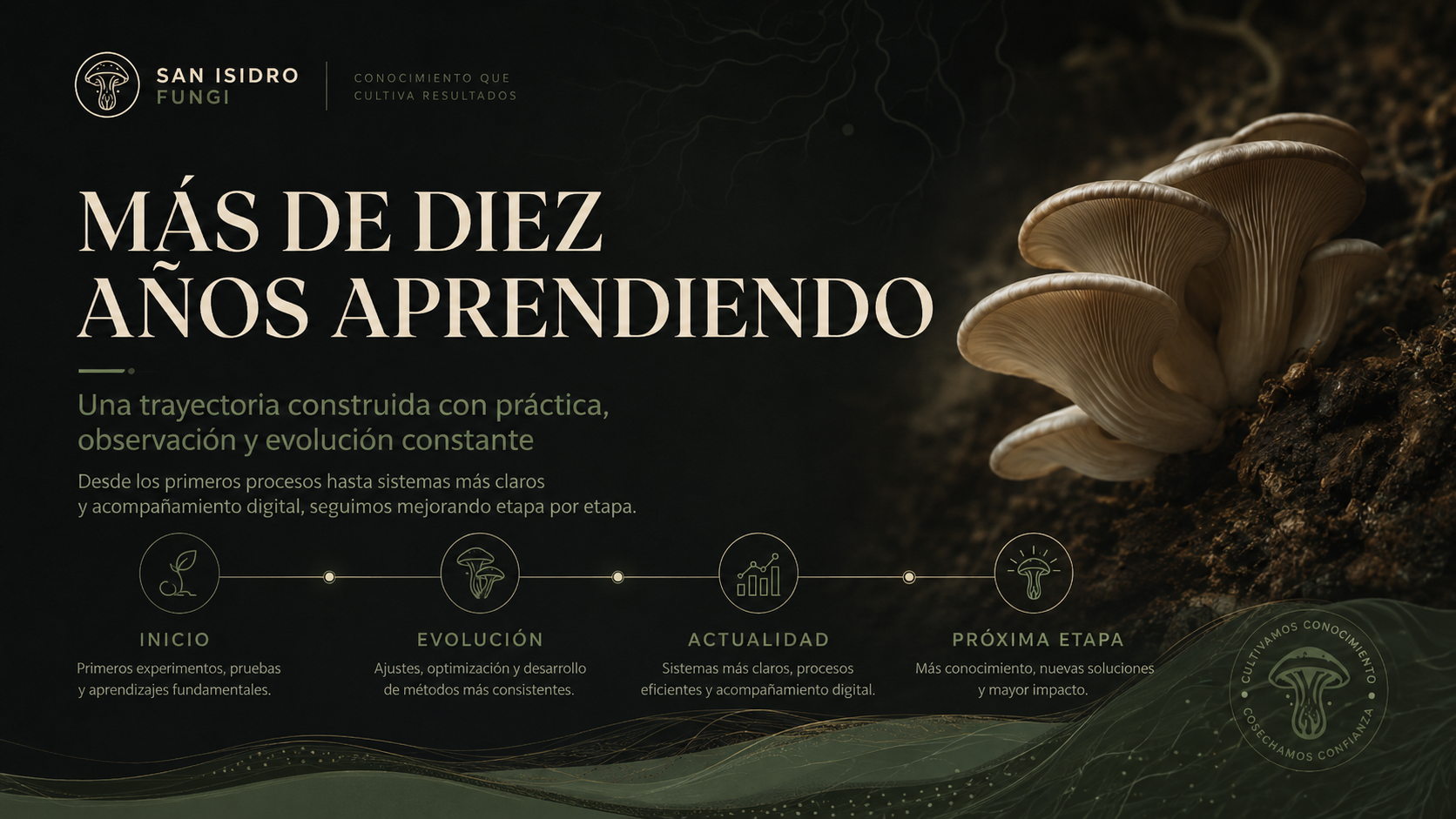 Más de diez años aprendiendo - San Isidro Fungi