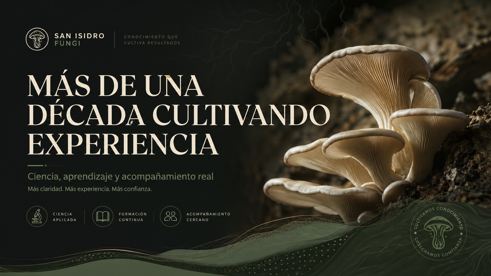 Más de una década cultivando experiencia - San Isidro Fungi