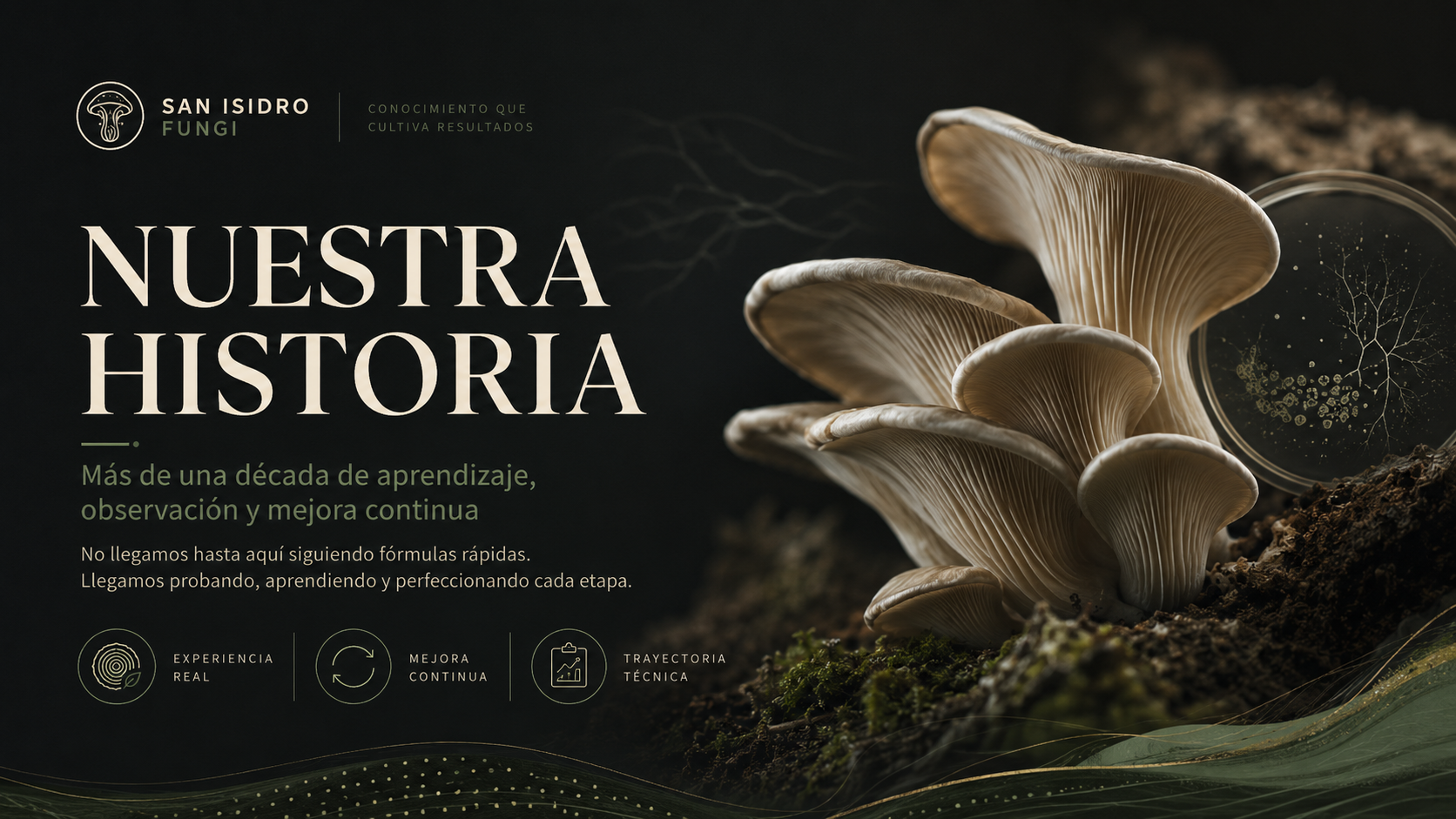 Nuestra historia San Isidro Fungi