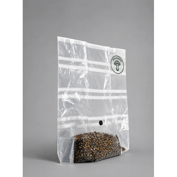 Kit Mycebag 1 kilo San Isidro Fungi