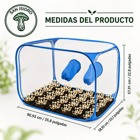 CÁMARA FRUCTIFICADORA PLEGABLE POP-UP SAN ISIDRO