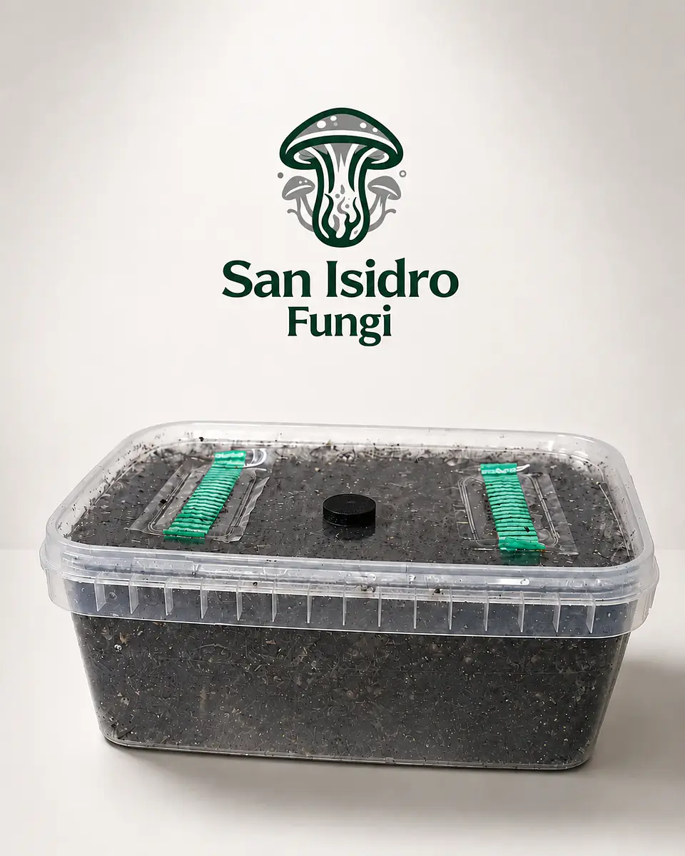 Mycebox Mayorista para Grow Shops — San Isidro 2